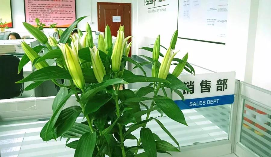 濃情七夕，最美祝福！