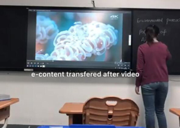 板書教學記憶成人看片在线課堂實用操作